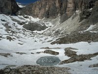 I, Sued-Tirol, Corvara, Le Valun 45, Saxifraga-Annemiek Bouwman