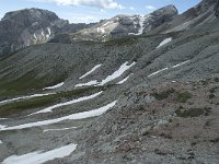 I, Sued-Tirol, Corvara, Naturpark Puez-Geisler 102, Saxifraga-Annemiek Bouwman