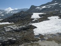 I, Sued-Tirol, Corvara, Naturpark Puez-Geisler 108, Saxifraga-Annemiek Bouwman