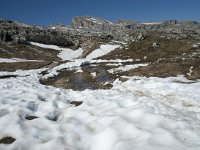 I, Sued-Tirol, Corvara, Naturpark Puez-Geisler 112, Saxifraga-Annemiek Bouwman