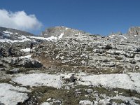 I, Sued-Tirol, Corvara, Naturpark Puez-Geisler 118, Saxifraga-Annemiek Bouwman