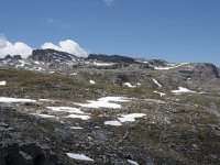 I, Sued-Tirol, Corvara, Naturpark Puez-Geisler 28, Saxifraga-Willem van Kruijsbergen