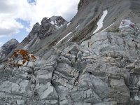 I, Sued-Tirol, Corvara, Naturpark Puez-Geisler 54, Saxifraga-Willem van Kruijsbergen