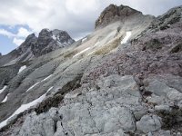 I, Sued-Tirol, Corvara, Naturpark Puez-Geisler 58, Saxifraga-Willem van Kruijsbergen