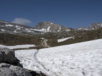 I, Sued-Tirol, Corvara, Naturpark Puez-Geisler 69, Saxifraga-Willem van Kruijsbergen