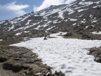 I, Sued-Tirol, Corvara, Naturpark Puez-Geisler, Altipiano de Crespeina 18, Saxifraga-Willem van Kruijsbergen