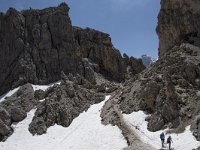 I, Sued-Tirol, Corvara, Naturpark Puez-Geisler, Forcella Cier 19, Saxifraga-Willem van Kruijsbergen