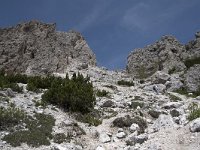 I, Sued-Tirol, Corvara, Naturpark Puez-Geisler, Forcella Cier 30, Saxifraga-Willem van Kruijsbergen