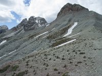 I, Sued-Tirol, Corvara, Naturpark Puez-Geisler, Puezkofel 8, Saxifraga-Annemiek Bouwman