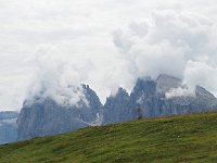 I, Sued-Tirol, Sankt Ulrich, Puflatsch 14 Saxifraga-Hans Dekker