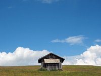 I, Sued-Tirol, Sankt Ulrich, Puflatsch 15, Saxifraga-Hans Dekker