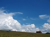 I, Sued-Tirol, Sankt Ulrich, Puflatsch 2, Saxifraga-Hans Dekker