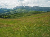 I, Sued-Tirol, Sankt Ulrich, Puflatsch 5, Saxifraga-Hans Dekker