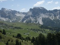 I, Sued-Tirol, Sankt Ulrich, Seceda 26, Saxifraga-Annemiek Bouwman