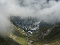 I, Sued-Tirol, Stelvio National Park, Passo dello Stelvio 1, Saxifraga-Jan van der Straaten