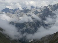 I, Sued-Tirol, Stelvio National Park, Passo dello Stelvio 2, Saxifraga-Jan van der Straaten