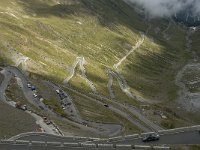 I, Sued-Tirol, Stelvio National Park, Passo dello Stelvio 3, Saxifraga-Jan van der Straaten