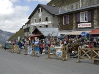 I, Sued-Tirol, Stelvio National Park, Passo dello Stelvio 4, Saxifraga-Jan van der Straaten