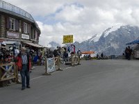 I, Sued-Tirol, Stelvio National Park, Passo dello Stelvio 5, Saxifraga-Jan van der Straaten