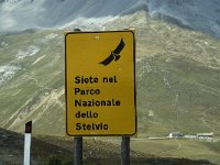 I, Sued-Tirol, Stelvio National Park, Passo dello Stelvio 6, Saxifraga-Jan van der Straaten