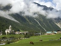 I, Sued-Tirol, Stelvio National Park, Sulden 1, Saxifraga-Jan van der Straaten