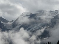 I, Sued-Tirol, Stelvio National Park, Sulden, Cime di Campo 1, Saxifraga-Jan van der Straaten