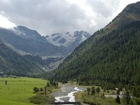 I, Sued-Tirol, Stelvio National Park, Sulden, Gran Zebru 1, Saxifraga-Jan van der Straaten