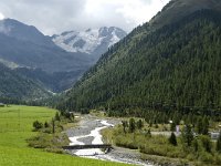 I, Sued-Tirol, Stelvio National Park, Sulden, Gran Zebru 2, Saxifraga-Jan van der Straaten