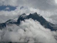 I, Sued-Tirol, Stelvio National Park, Sulden, Ortler 1, Saxifraga-Jan van der Straaten