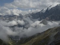 I, Sued-Tirol, Stelvio National Park, Sulden, Ortler 4, Saxifraga-Jan van der Straaten