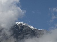 I, Sued-Tirol, Stelvio National Park, Sulden, Ortlergletscher 2, Saxifraga-Jan van der Straaten