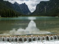 I, Sued-Tirol, Toblach, Toblachersee 2, Saxifraga-Luuk Vermeer