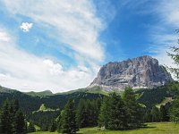 I, Sued-Tirol, Wolkenstein, Groedner Joch 5, Saxifraga-Hans Dekker