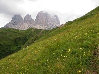 I, Sued-Tirol, Wolkenstein, Sella Pass 5, Saxifraga-Hans Dekker