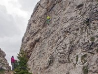 I, Sued-Tirol, Wolkenstein, Sella Pass 8, Saxifraga-Hans Dekker