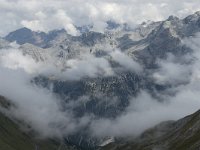 I, Trentino-Sued Tirol, Stelvio National Park, Passo dello Stelvio 2, Saxifraga-Jan van der Straaten