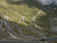 I, Trentino-Sued Tirol, Stelvio National Park, Passo dello Stelvio 3, Saxifraga-Jan van der Straaten