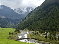 I, Trentino-Sued Tirol, Stelvio National Park, Sulden, Gran Zebru 2, Saxifraga-Jan van der Straaten