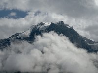 I, Trentino-Sued Tirol, Stelvio National Park, Sulden, Ortler 1, Saxifraga-Jan van der Straaten