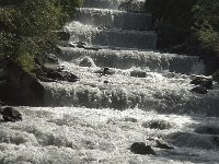 I, Trentino-Sued Tirol, Stelvio National Park, Sulden, Suldenbach 1, Saxifraga-Jan van der Straaten