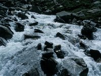 I, Valle d'Aosta, Cogne, Col de Lauson 4, Saxifraga-Jan van der Straaten