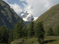 I, Valle d'Aosta, Pre Saint Didier, Mont Blanc 1, Saxifraga-Jan van der Straaten