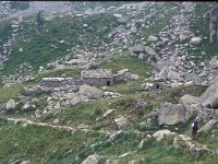 I, Valle d'Aosta, Rhemes-Notre Dame, Alp Loserai 1, Saxifraga-Jan van der Straaten