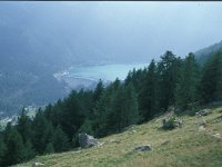 I, Valle d'Aosta, Rhemes-Notre Dame, Ceresole Reale 1, Saxifraga-Jan van der Straaten