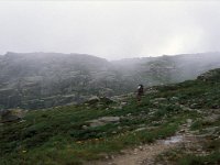 I, Valle d'Aosta, Rhemes-Notre Dame, Colle Sia 1, Saxifraga-Jan van der Straaten