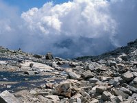 I, Valle d'Aosta, Rhemes-Notre Dame, Colle della Porta 7, Saxifraga-Jan van der Straaten