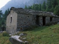 I, Valle d'Aosta, Rhemes-Notre Dame, Rama 1, Saxifraga-Jan van der Straaten