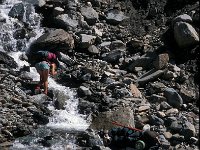 I, Valle d'Aosta, Valsavarenche, Eaux Rousses 2, Saxifraga-Jan van der Straaten