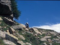 I, Valle d'Aosta, Valsavarenche, Pont 4, Saxifraga-Jan van der Straaten