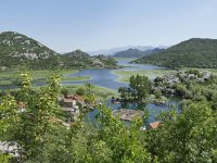 MNE, Cetinje, Skadarsko jezero at Karuc 2, Saxifraga-Tom Heijnen